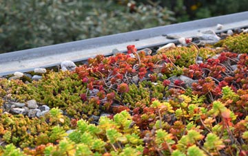 the cost of Belle Vue green roof installation