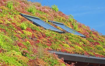 Belle Vue living roof systems
