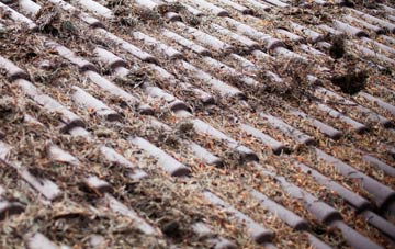 Belle Vue roof cleaning companies