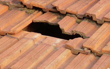 roof repair Belle Vue