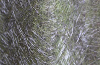 Belle Vue fibreglass roof work